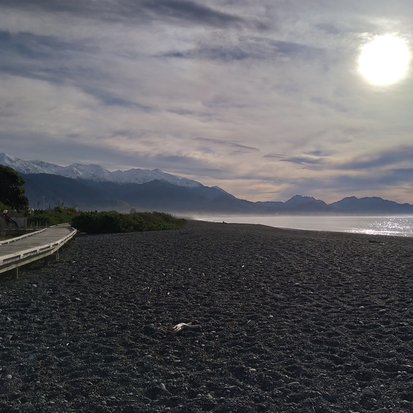 Meet your Posher, Elly - Picture 2 of 2